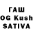 Псилоцибиновые грибы GOLDEN TEACHER Formulist 1