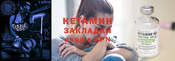 индика Инсар