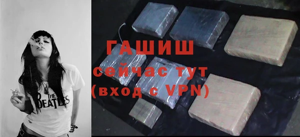 индика Инсар