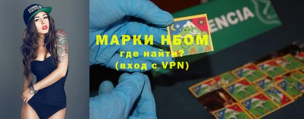 бошки Инта