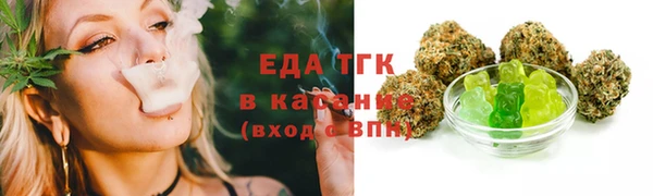 индика Инсар