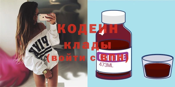 бошки Инта