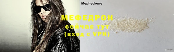 индика Инсар