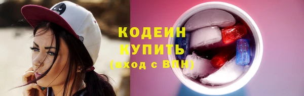 индика Инсар