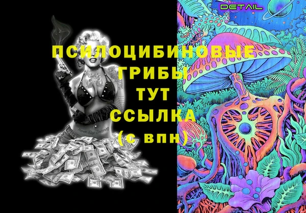 индика Инсар