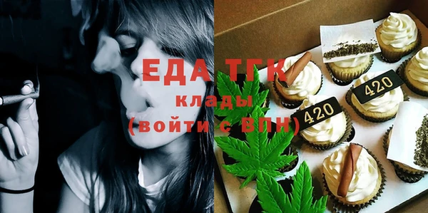 индика Инсар