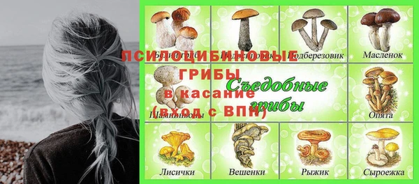 индика Инсар