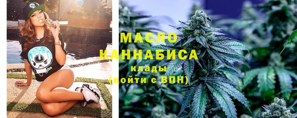 индика Инсар