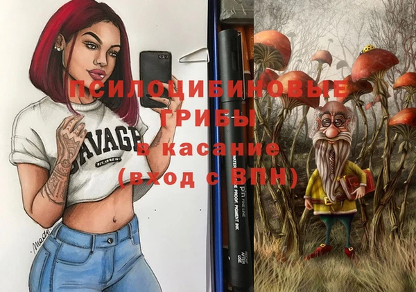 бошки Инта