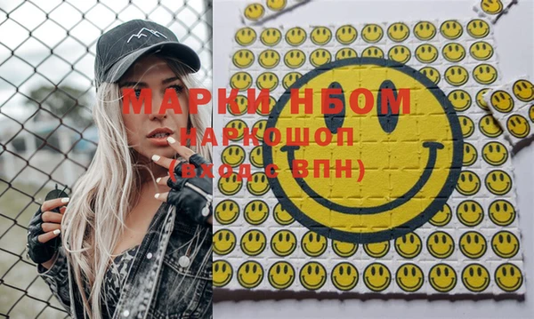 бошки Инта
