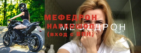 индика Инсар