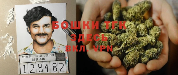 индика Инсар