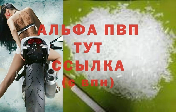 индика Инсар