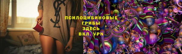 бошки Инта